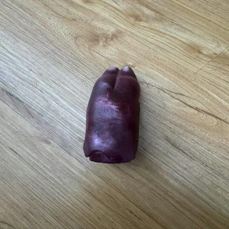 Squeaky Vinyl Pig's Trotter