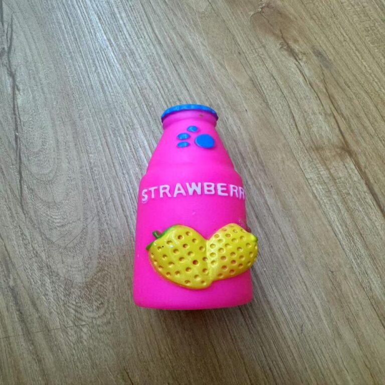 Squeaky Vinyl Bottle