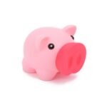 Piggy Bank Piggy Bank