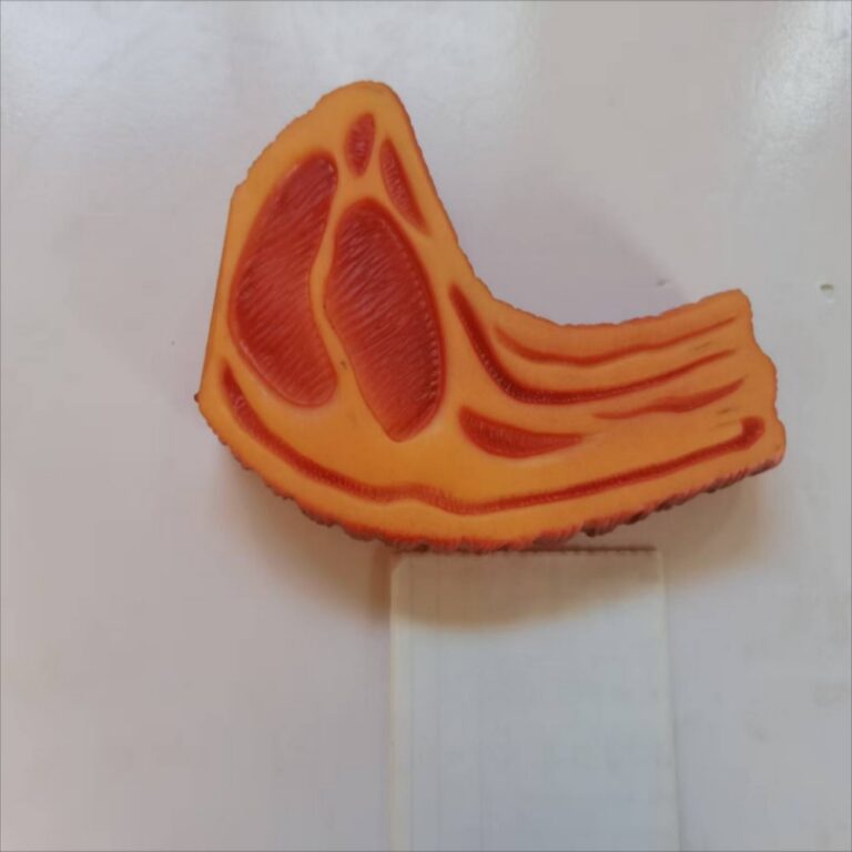 Squeaky Vinyl Large Steak