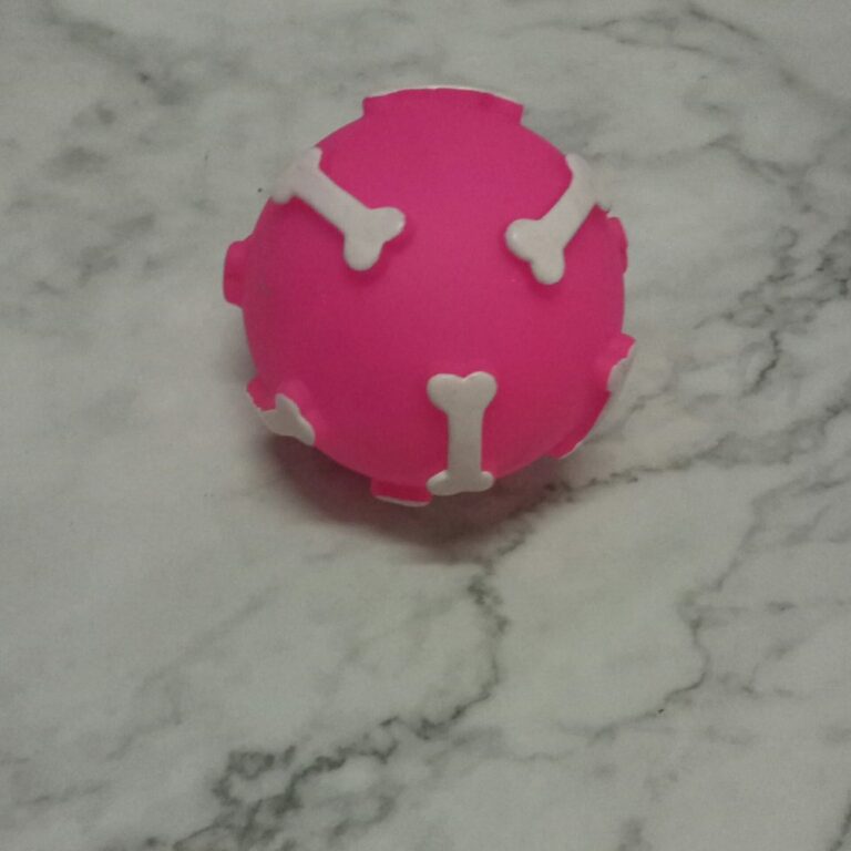 Squeaky Vinyl Bone Ball
