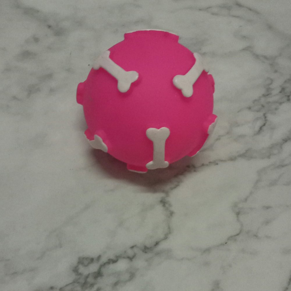 Squeaky Vinyl Bone Ball
