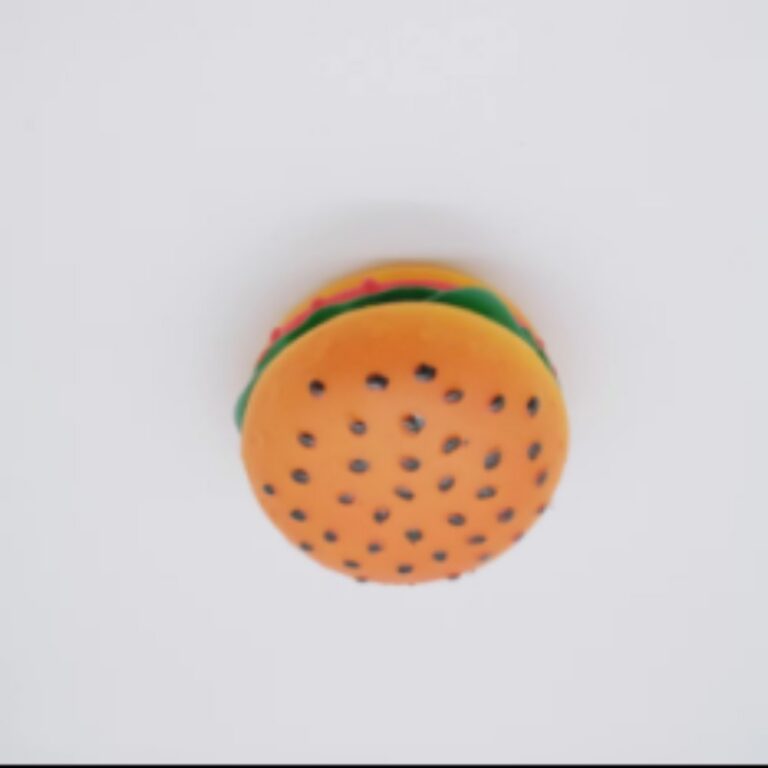 Squeaky Vinyl Black Sesame Burger