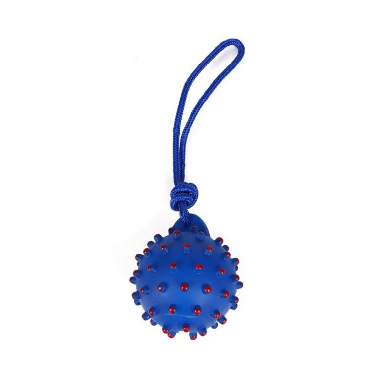 Rope Toy Spiky Ball