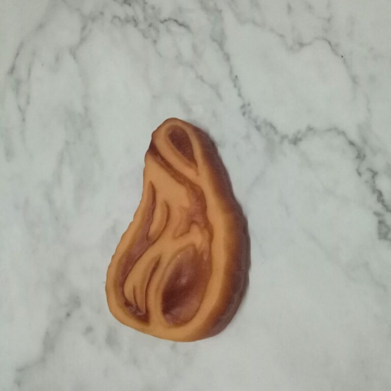 Squeaky Vinyl Steak