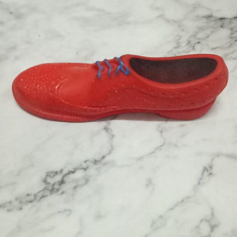 Squeaky Vinyl Leather Shoe
