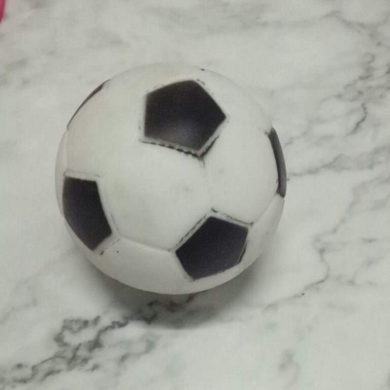 Squeaky Vinyl Soccer Ball