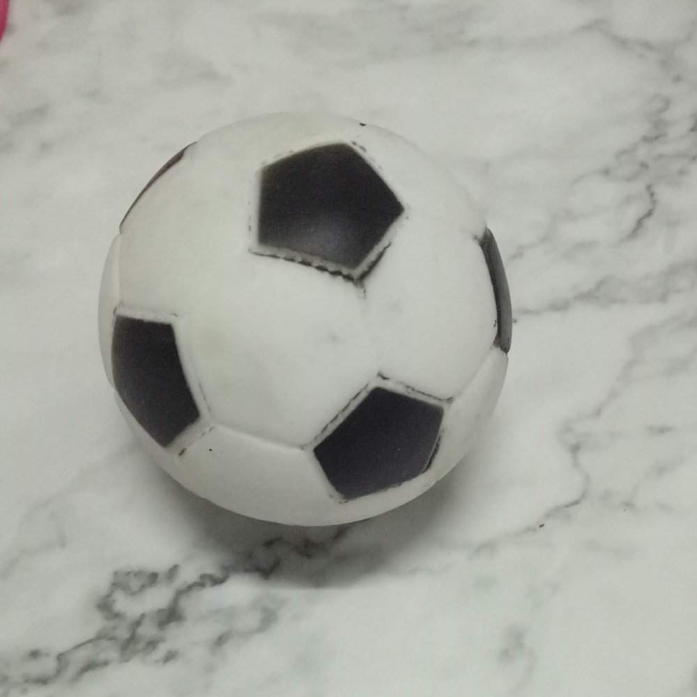 Squeaky Vinyl Soccer Ball